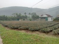 IMG20241227095712.jpg