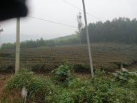 IMG20241227095718.jpg