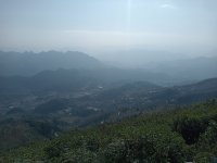 IMG20241229144918.jpg