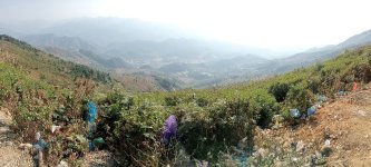 IMG20241229144936.jpg