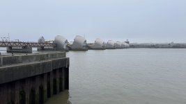 IMG_7749.jpeg