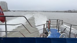 IMG_7766.jpeg