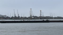 IMG_7767.jpeg