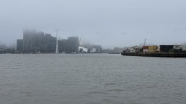 IMG_7764.jpeg