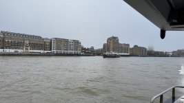 IMG_7784.jpeg
