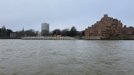 IMG_7785.jpeg