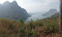 IMG20241230112953.jpg