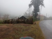 IMG20241231081618.jpg