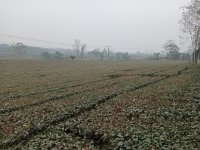 IMG20241231123056.jpg