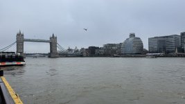 IMG_7811.jpeg