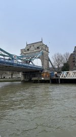IMG_7806.jpeg