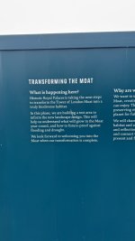 IMG_7813.jpeg