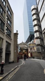 IMG_7831.jpeg