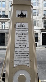IMG_7847.jpeg