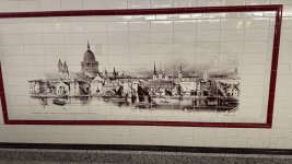 IMG_7863.jpeg