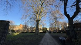 IMG_8035.jpeg