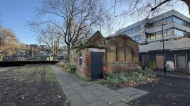 IMG_8036.jpeg