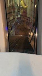IMG_8050.jpeg