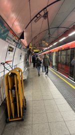 IMG_8051.jpeg