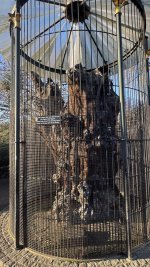 IMG_8060.jpeg