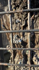 IMG_8062.jpeg