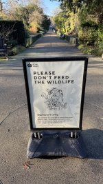 IMG_8078.jpeg