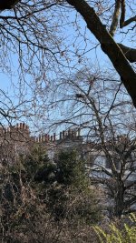 IMG_8113.jpeg