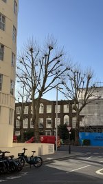 IMG_8135.jpeg