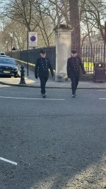 IMG_8139.jpeg
