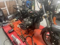 IMG_7244.jpeg