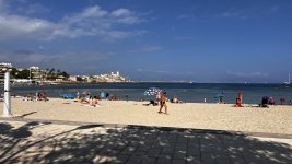 IMG_9981.jpeg
