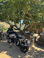 IMG_4042.jpeg