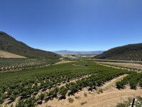 IMG_4044.jpeg