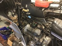 IMG_8397.jpeg