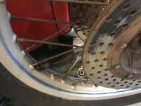 IMG_8401.jpeg