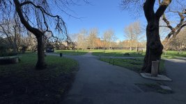 IMG_8215.jpeg IMG_8215.jpeg
