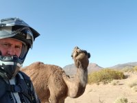 20180416_173703.jpeg