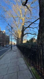 IMG_8245.jpeg IMG_8245.jpeg