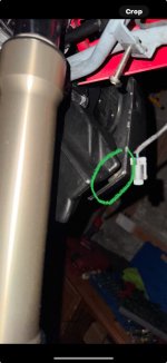 IMG_7711.jpeg