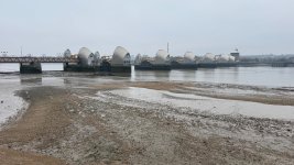 IMG_8672.jpeg