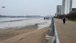 IMG_8673.jpeg