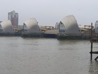20250118_131611.jpg