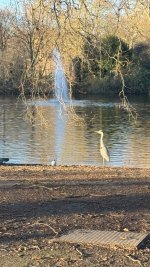 IMG_8289.jpeg IMG_8289.jpeg