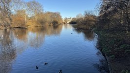 IMG_8290.jpeg IMG_8290.jpeg