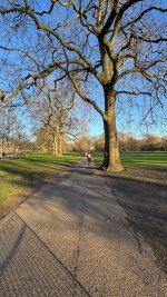 IMG_8302.jpeg IMG_8302.jpeg