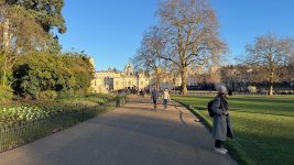 IMG_8305.jpeg IMG_8305.jpeg