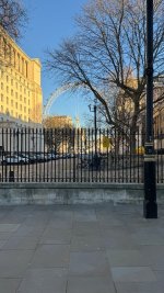 IMG_8330.jpeg IMG_8330.jpeg