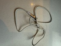 IMG_7886.jpeg