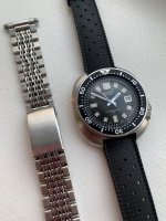 IMG_3355.jpeg
