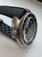 IMG_3380.jpeg